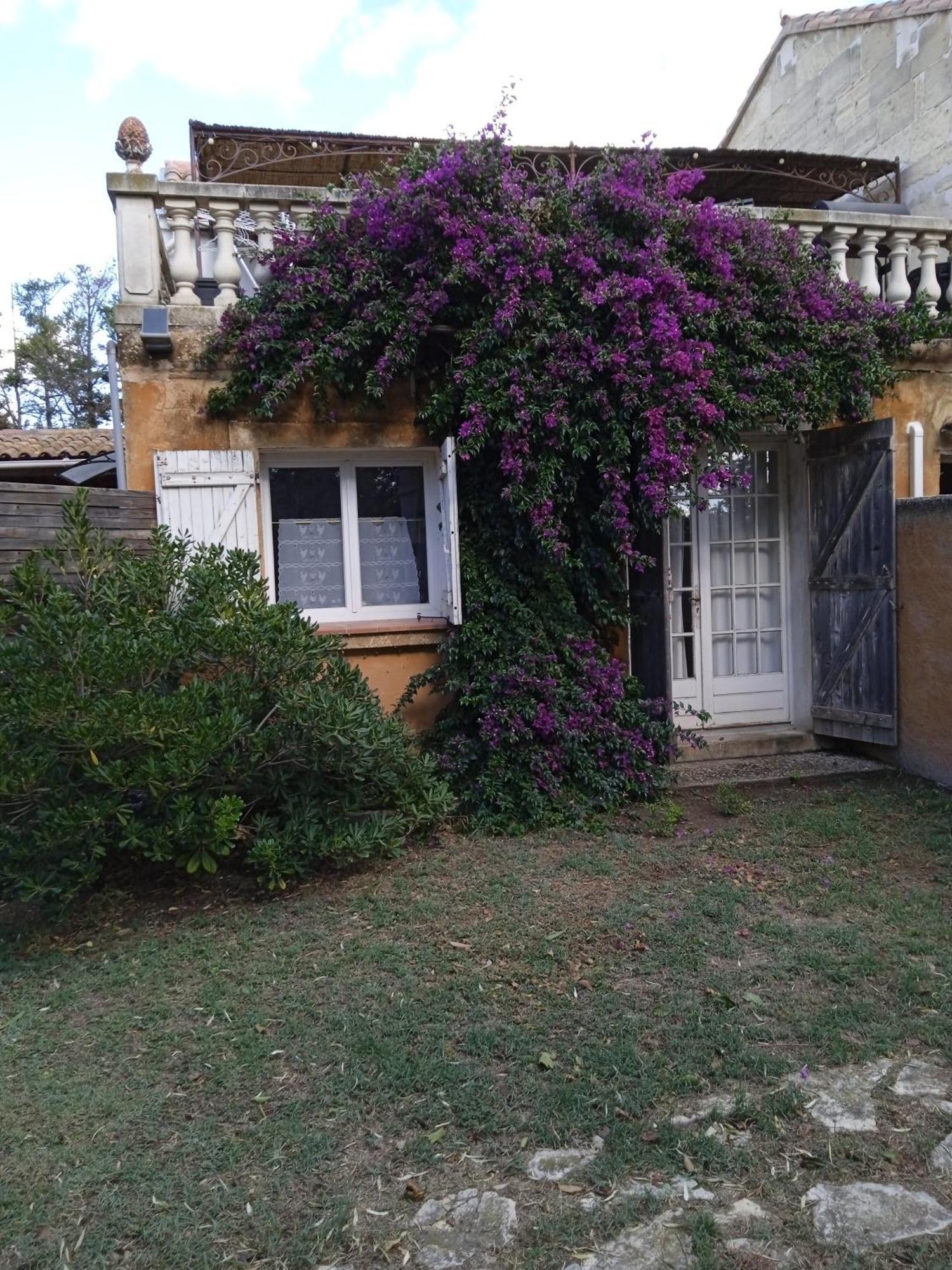 Mas Maurane - Le Bougainvillier Aux Portes D'Arles Apartment ตาฮาสคอง ภายนอก รูปภาพ